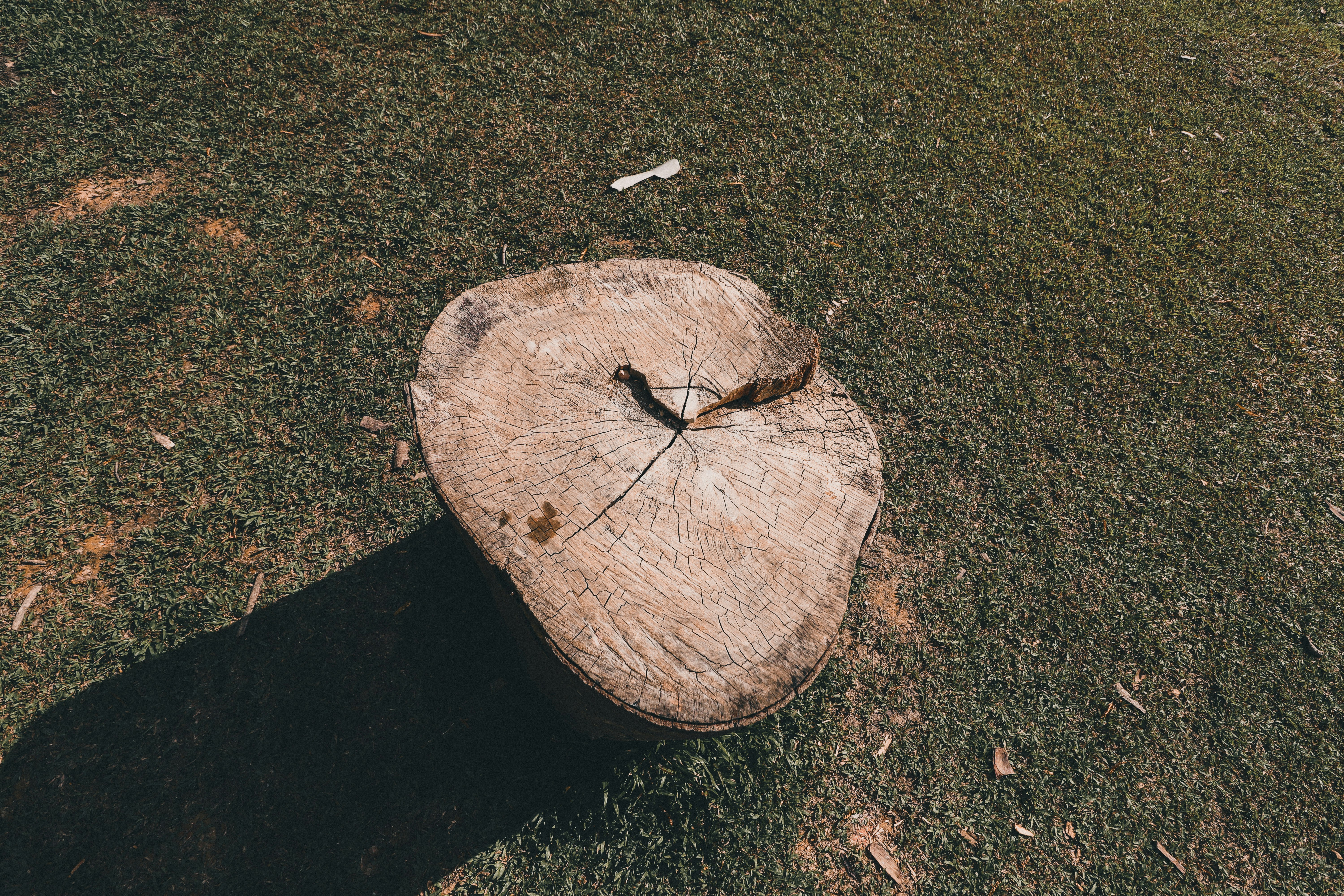 brown wood log on green grass